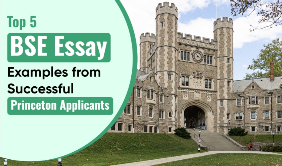 Top 5 BSE Essay Examples from Successful Princeton Applicants