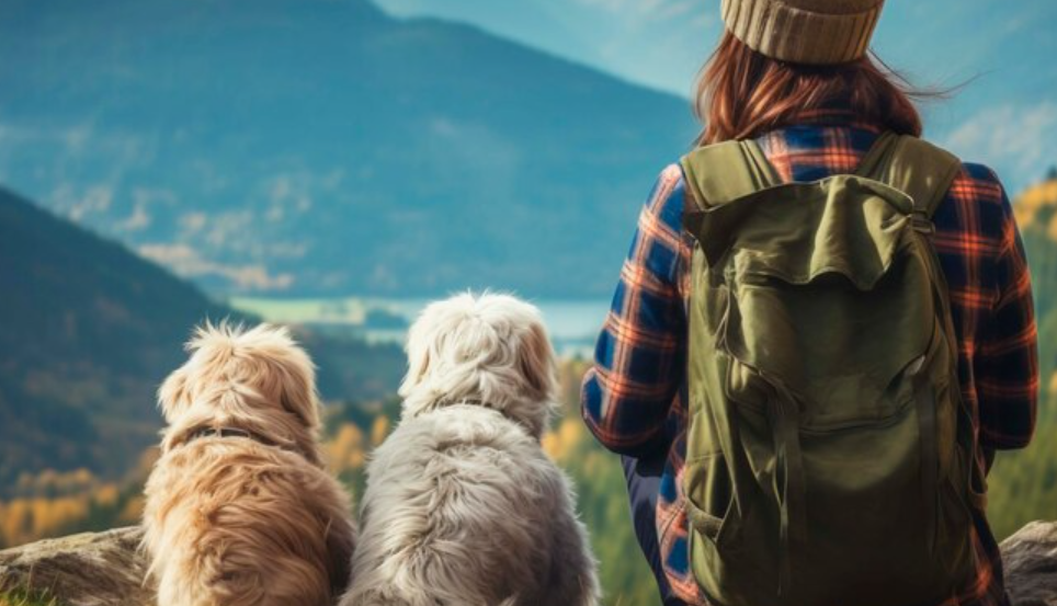 Dog Backpacks for Hiking: The Ultimate Guide to Choosing and Using Them