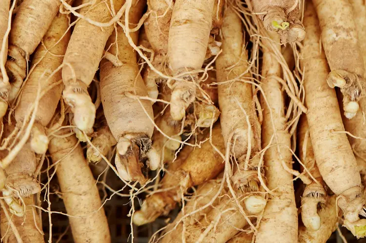 Understanding Ginseng Food Supplement: What You Should Know